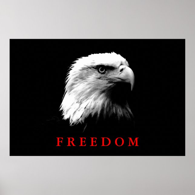 Schwarz-weißes Motivierend Freedom Eagle Eyes Post Poster (Vorne)
