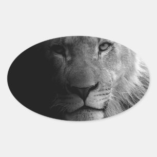 Schwarz-weißes Motivierend Leadership Lion Portrai Ovaler Aufkleber