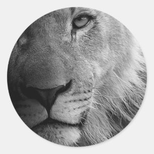 Schwarz-weißes Motivierend Leadership Lion Portrai Runder Aufkleber
