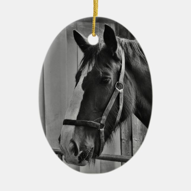 Schwarz-weißes Pferd - Tierfotografie Keramikornament (Vorne)