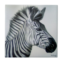 Schwarz-weißes Zebrapotrait