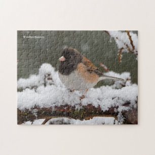 Schwarzaugen-Junko-Spatzen-Singvogel auf verschnei Puzzle