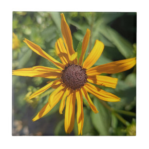 Schwarzaugige Susanne Florale Dekorative Fliese   