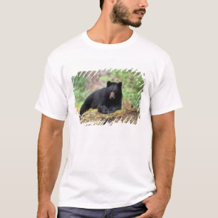 Schwarzbär auf einem alten Baumstamm in dem T-Shirt