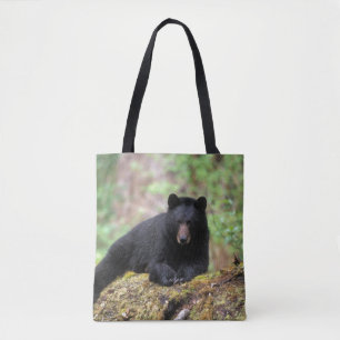Schwarzbär auf einem alten Baumstamm in der