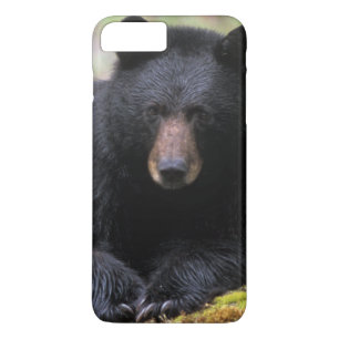 Schwarzbär auf einem alten Baumstamm in der iPhone 8 Plus/7 Plus Hülle