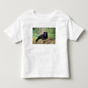 Schwarzbär auf einem alten Baumstamm in der Kleinkind T-shirt