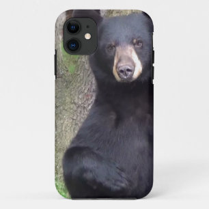 Schwarzbär Case-Mate iPhone Hülle
