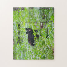Schwarzbär im Wald