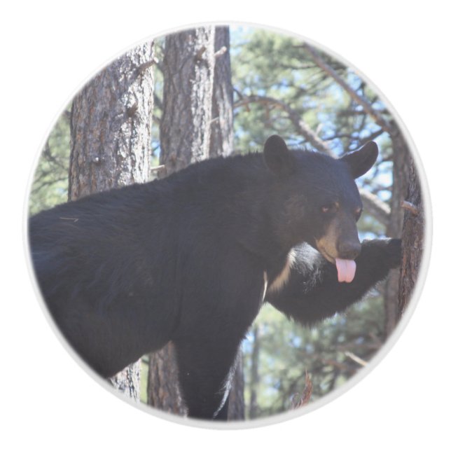 Schwarzbär Keramikknauf (Vorderseite)