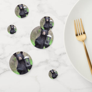 Schwarzbär Konfetti