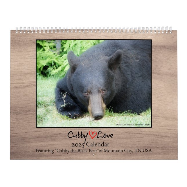 Schwarzbär - Kubby-Liebe 2025-Kalender Kalender (Titelbild)