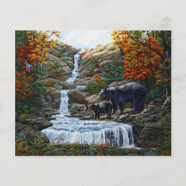 Schwarzbär Mutter und Cube Wasserfall (Vorderseite)