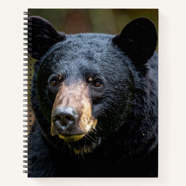 Schwarzbär Notizbuch (Vorderseite)