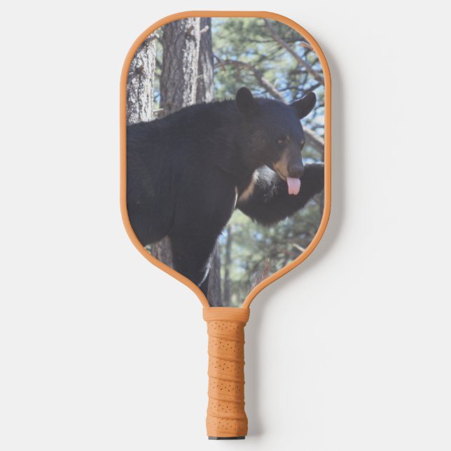 Schwarzbär  pickleball schläger (Vorderseite)