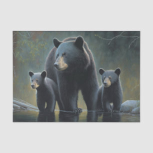 Schwarzbär und Knochen Seidenpapier
