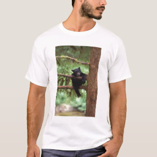 Schwarzbär, Ursus americanus, cub in einem Baum T-Shirt