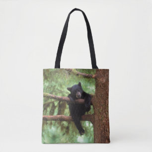 Schwarzbär, Ursus americanus, Jungtier in einem Ba