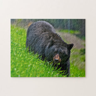 Schwarzbärenjagd, Puzzle