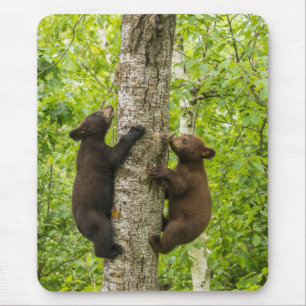 Schwarzbärenjunge klettern auf einen Baum Mousepad