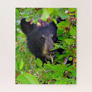 Schwarzbärenjunge. Puzzle