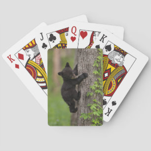 Schwarzbärenjunges klettert auf einen Baum Spielkarten