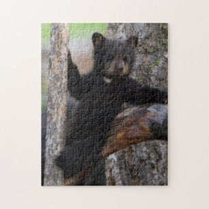 Schwarzbärenjunges ruht sich aus puzzle