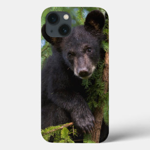 Schwarzbärenjunges spielt in Bäumen Case-Mate iPhone Hülle