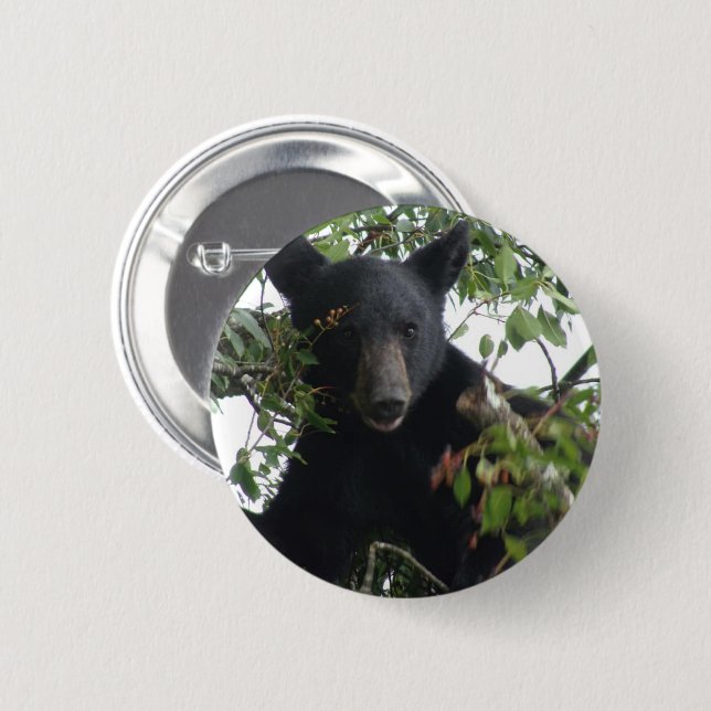 Schwarzbärenkuppe im Baum Button (Vorne & Hinten)