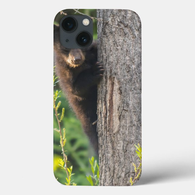 Schwarzbärenkuppe im Springtime Case-Mate iPhone Hülle (Rückseite)