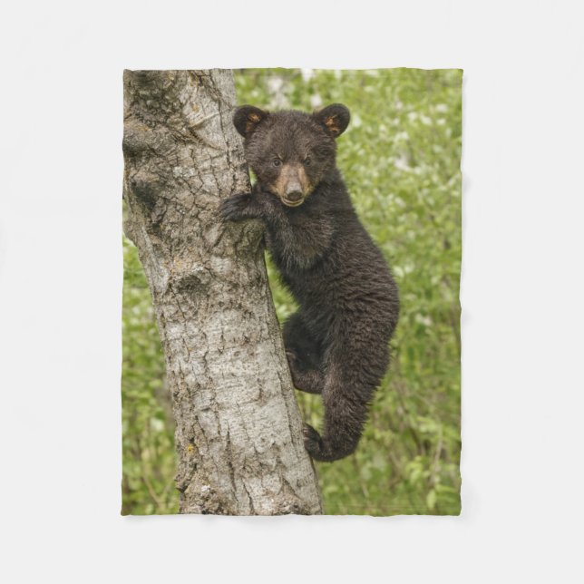 Schwarzbärjunges im Baum Fleecedecke (Vorderseite)
