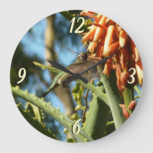 Schwarzbraun-Hummingvogel im Flug Große Wanduhr (Vorderseite)