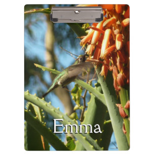 Schwarzbraun-Hummingvogel im Flug Klemmbrett