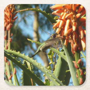 Schwarzbraun-Hummingvogel im Flug Rechteckiger Pappuntersetzer