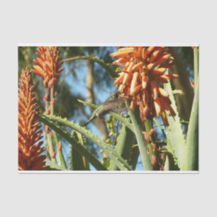 Schwarzbraun-Hummingvogel im Flug Seidenpapier