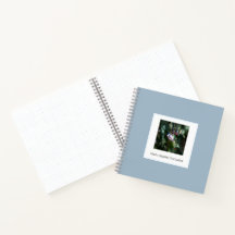 Schwarzdeckenameise – Fine Art Fotografie