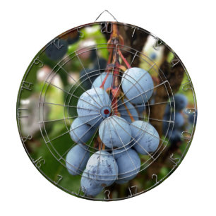 Schwarzdornfrucht Dartscheibe