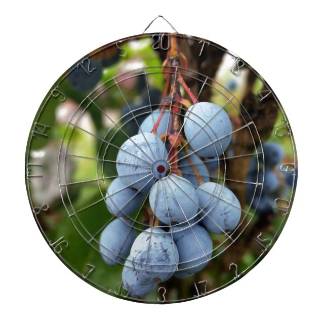 Schwarzdornfrucht Dartscheibe (vorne)