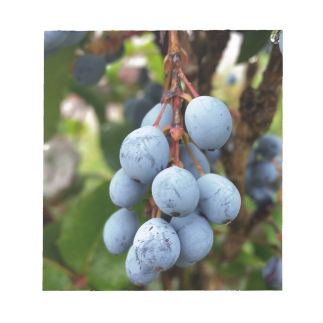 Schwarzdornfrucht Notizblock (Vorderseite)