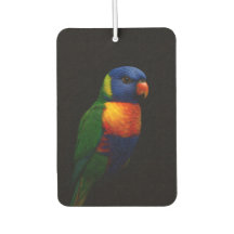 Schwarze 4 Luxe Auto-Luftverbesserer, Lorikeet-Pap