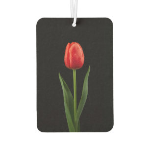 Schwarze 4 Luxe Auto-Luftverbesserer Ruby Red Tulp Autolufterfrischer