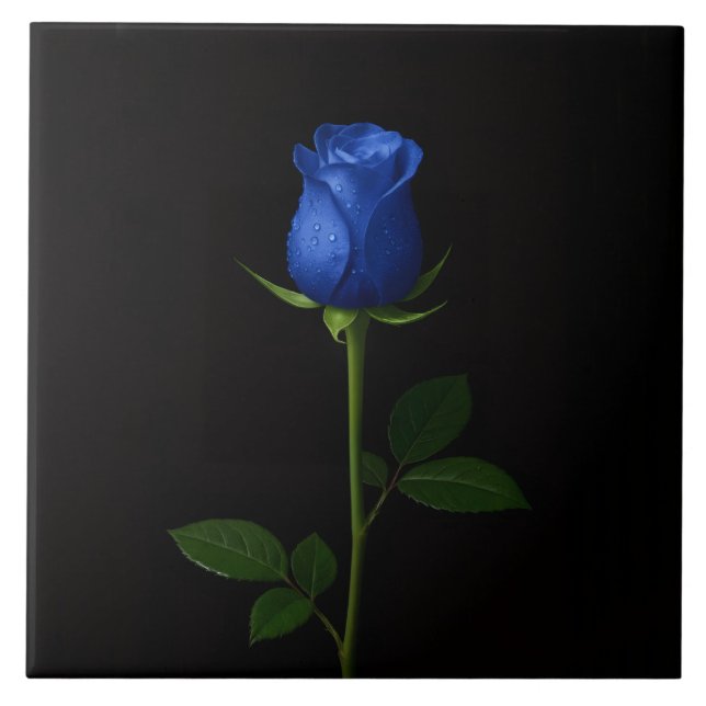 Schwarze 4 Luxe-Fliese mit Midnight Blue Rose Fliese (Vorderseite)
