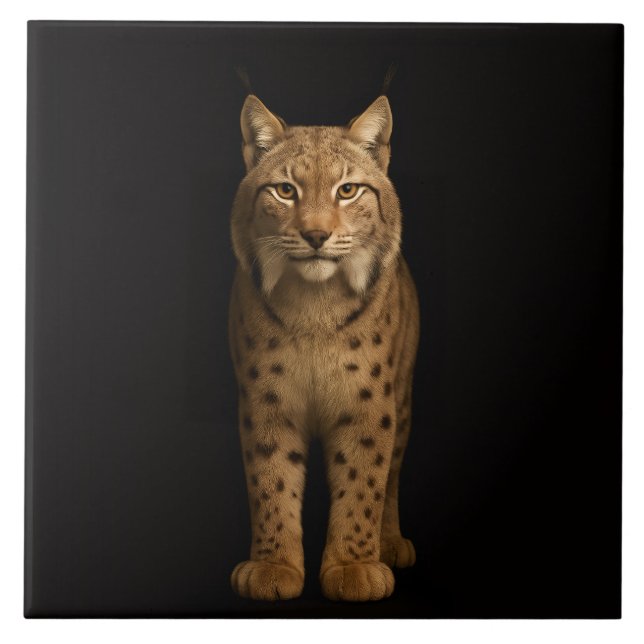 Schwarze 4 Luxe-Fliese mit Silent Lynx Fliese (Vorderseite)