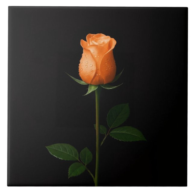 Schwarze 4 Luxe-Fliese mit Sonnenuntergangs-Orange Fliese (Vorderseite)