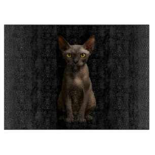 Schwarze 4 Luxe Glasboard Sphynx-Katze Schneidebrett