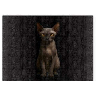 Schwarze 4 Luxe Glasboard Sphynx-Katze Schneidebrett