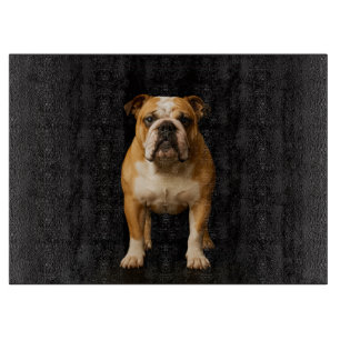 Schwarze 4 Luxe Glasboard Stamina Bulldog Schneidebrett