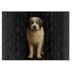 Schwarze 4 Luxe Glasplatte Mioritic Shepherd Schneidebrett