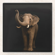 Schwarze 4 Luxe Glasuntersetzer, Mächtiger Elefant