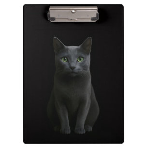 Schwarze 4 Luxe Klemmmappe, Blaue Russische Katze Klemmbrett